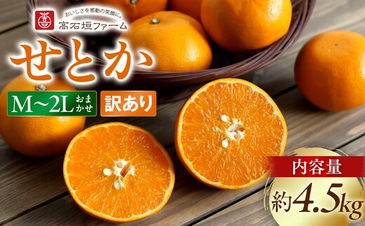 訳あり せとか 4.5kg M～2Lサイズおまかせ 高石垣ファーム