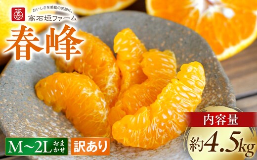 訳あり 春峰 4.5kg M～2Lサイズおまかせ 高石垣ファーム