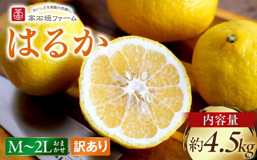 訳あり はるか 4.5kg M～2Lサイズおまかせ 高石垣ファーム
