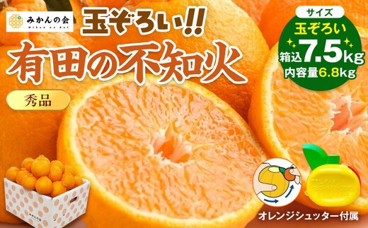 不知火 (しらぬい) 秀品 玉ぞろい 箱込 7.5kg (内容量約6.8kg) 和歌山県産 産地直送［みかんの会］