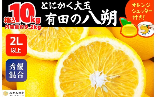 八朔 (はっさく) とにかく 大玉 どっこいしょ 箱込 10kg (内容量約 9.2kg) 秀品 優品 混合 2Lサイズ以上 和歌山県産 産地直送［おまけ付き］［みかんの会］