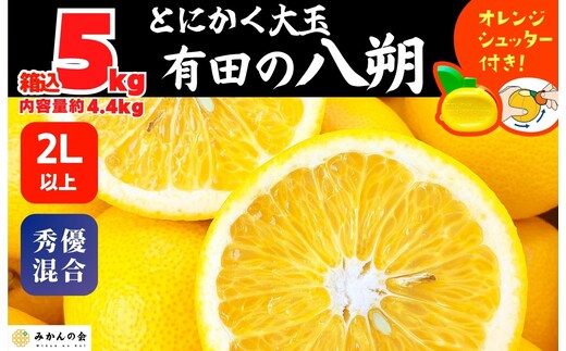 八朔 (はっさく) とにかく 大玉 どっこいしょ 箱込 5kg (内容量約 4.4kg) 秀品 優品 混合 2Lサイズ以上 和歌山県産 産地直送［おまけ付き］［みかんの会］