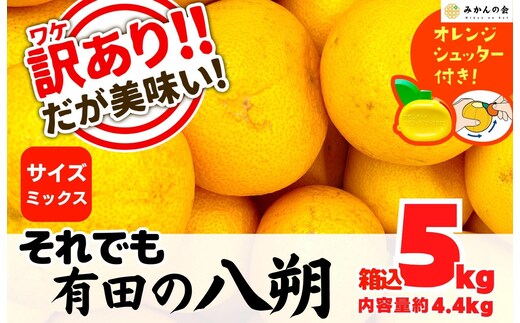 八朔 訳あり それでも 有田の八朔 (はっさく) 箱込 5kg (内容量約 4.4kg) サイズミックス B品 和歌山県産 産地直送［おまけ付き］［みかんの会］