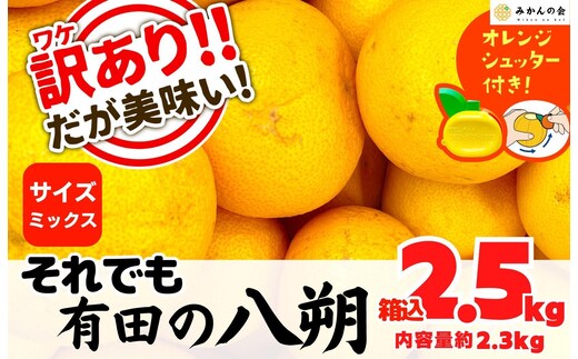 八朔 訳あり それでも 有田の八朔 (はっさく) 箱込 2.5kg (内容量約 2.3kg) サイズミックス B品 和歌山県産 産地直送［おまけ付き］［みかんの会］
