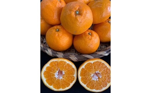 完熟はるみオレンジ 赤秀品 12玉入り