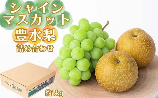 シャインマスカット、豊水梨 詰め合わせ約3kg箱