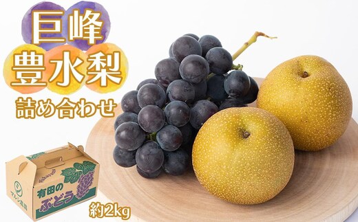 巨峰、豊水梨 詰め合わせ 約2kg箱
