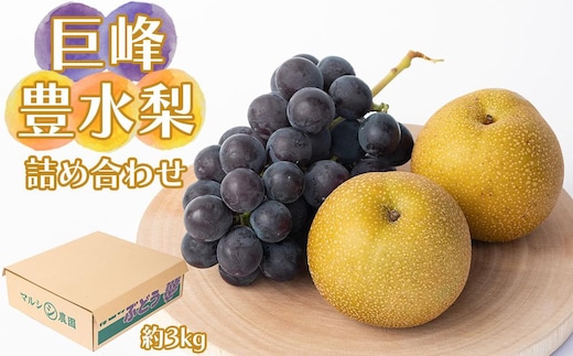 巨峰、豊水梨 詰め合わせ 約3kg箱