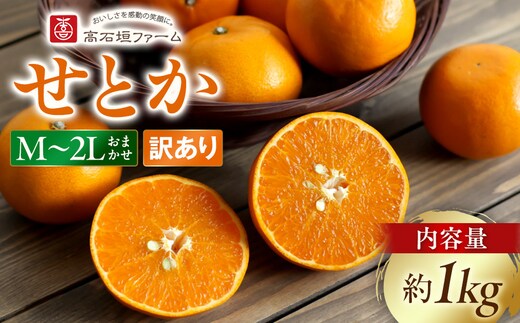 訳あり せとか 1kg M～2Lサイズおまかせ 高石垣ファーム