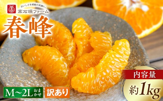 訳あり 春峰 1kg M～2Lサイズおまかせ 高石垣ファーム