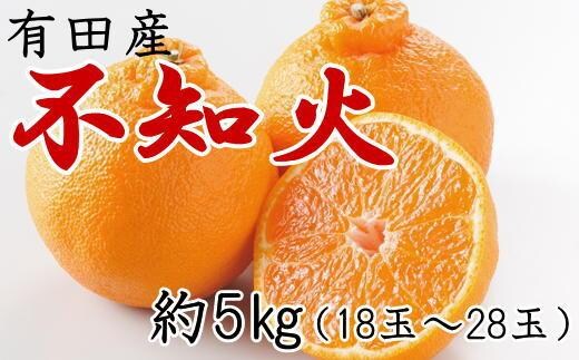 ［濃厚］有田の不知火約5kg（18～28玉）★2027年2月中旬頃より順次発送