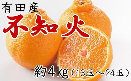 ［濃厚］有田の不知火約4kg（13～24玉）★2027年2月中旬頃より順次発送［TM32w］