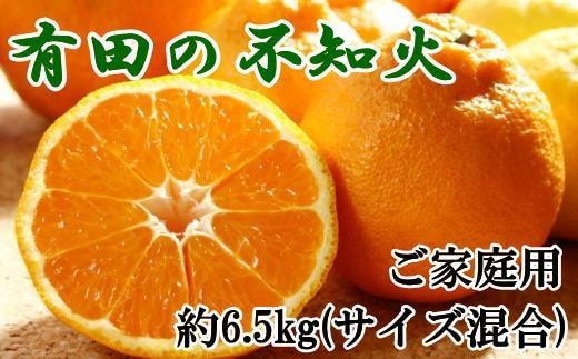 有田の不知火 約6.5kg サイズ混合［ 濃厚 ご家庭用向け ］★2027年2月中旬頃より順次発送