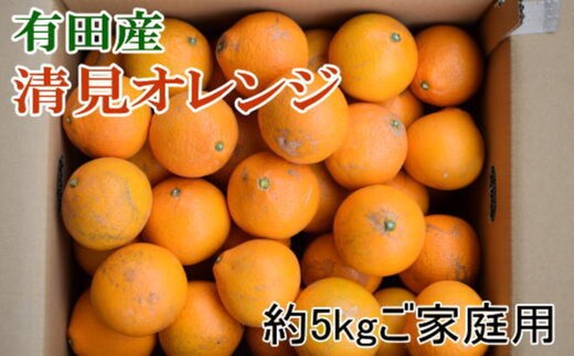 ★2027年3月初旬より発送★ ご家庭用 濃厚 有田産清見オレンジ約5kg サイズおまかせ または混合