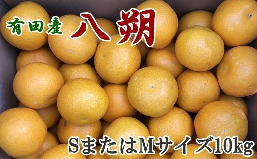 ［手選果］有田産の八朔10kg（SまたはMサイズいずれかお届け）★2027年1月下旬より順次発送