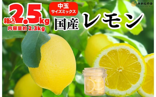 レモン 中玉 国産 箱込2.5kg(内容量約2.3kg) 秀品 L 2L 3L サイズミックス 和歌山県有田産 【みかんの会】