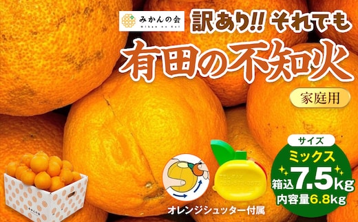 不知火 訳あり それでも 有田の不知火 箱込 7.5kg(内容量約 6.8kg) サイズミックス 和歌山県産 産地直送［みかんの会］