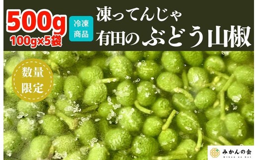 【6月下旬出荷予定】冷凍山椒 凍ってんじゃ ぶどう山椒 500g ( 100g × 5袋 ) 和歌山県産 【みかんの会】