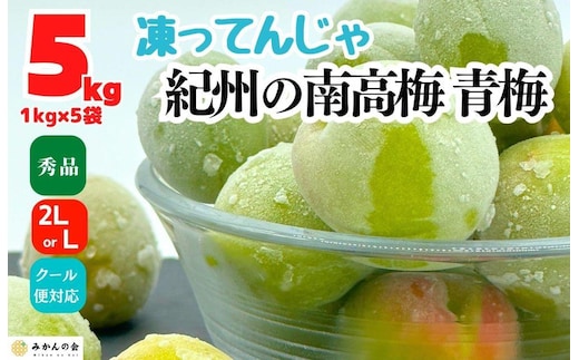 【2026年7月上旬～出荷予定】梅 冷凍 青梅 南高梅 5kg ( 1kg × 5袋) 秀品 2L or Lサイズ 和歌山県産 紀州有田 【みかんの会】