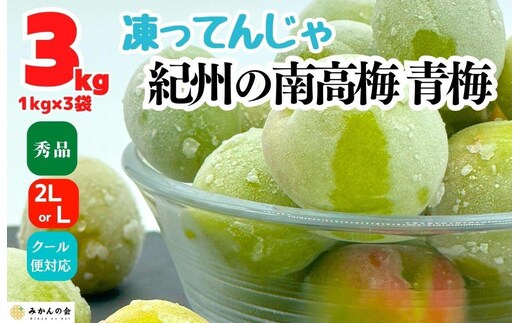 【2026年7月上旬～出荷予定】梅 冷凍 青梅 南高梅 3kg ( 1kg × 3袋 ) 秀品 2L or Lサイズ 和歌山県産 紀州有田 【みかんの会】