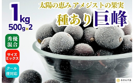 冷凍 種あり 巨峰 約1kg 秀優混合 サイズミックス 和歌山県産 産地直送 ぶどう クール便 【みかんの会】