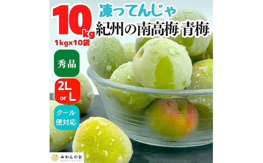 【2026年7月上旬～出荷予定】梅 冷凍 青梅 南高梅 10kg ( 1kg × 10袋) 秀品 2L or Lサイズ 和歌山県産 紀州有田 【みかんの会】