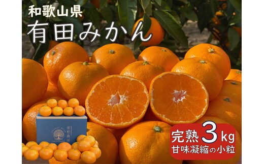 完熟 小粒 有田みかん 3kg 甘味凝縮 和歌山県産 産直45年 武内園
