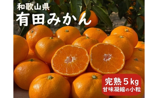 完熟 小粒 有田みかん 5kg 甘味凝縮 和歌山県産 産直45年 武内園