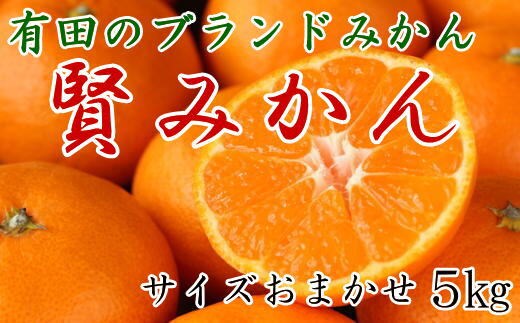 ［秀品］有田のブランドみかん「賢みかん」5kg（サイズおまかせ）［2026年11月中旬頃より順次発送］