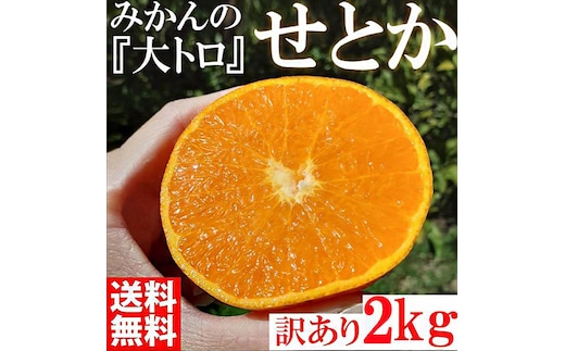 せとか みかんの大トロ 約2kg 訳あり ブランド 和歌山 有田 みかん 農家直送 オレンジ フルーツ 果物