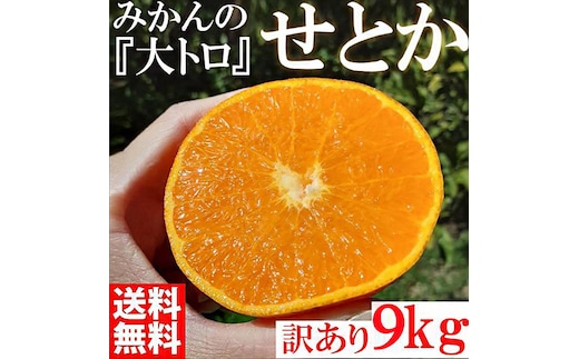 せとか みかんの大トロ 約9kg 訳あり ブランド 和歌山 有田 みかん 農家直送 オレンジ フルーツ 果物