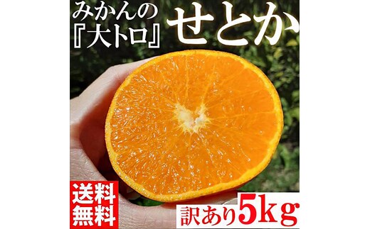 せとか みかんの大トロ 約5kg 訳あり ブランド 和歌山 有田みかん 農家直送 オレンジ フルーツ 果物
