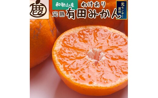 ［先行予約］家庭用 有田みかん（完熟）5kg+250g（傷み補償分）