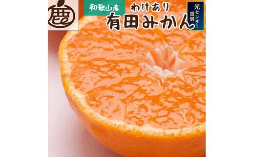 ［先行予約］家庭用 熟成有田みかん 5kg+250g（傷み補償分）
