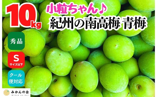南高梅 青梅 秀品 小粒ちゃん 約10kg Sサイズ以下 和歌山県産 紀州有田 産地直送 クール便対応 梅酒作り用 梅ジュース作り用