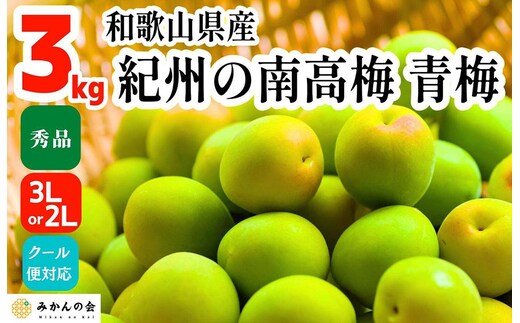 青梅 南高梅 3kg 秀品 3Lまたは2Lサイズ 和歌山県産 A品 梅酒作り用 梅ジュース作り用