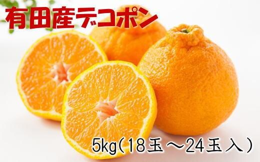 ［お味濃厚］紀州有田産のデコポン約5kg(18玉～24玉入り・青秀以上)★2027年2月中旬頃より順次発送［TM26w］