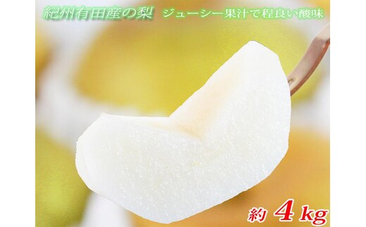 ジューシー果汁の紀州有田産の梨約４kg 化粧箱入【先行予約】【2026年8月中旬以降発送予定】