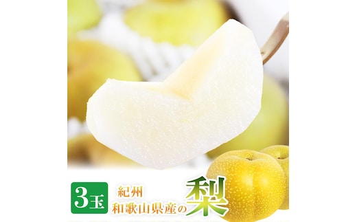 ジューシー果汁の紀州有田産の梨 ３玉 化粧箱入【先行予約】【2026年8月中旬以降発送予定】