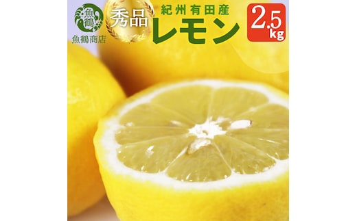 秀品 紀州有田産レモン 2.5kg［2027年3月上旬以降発送］［先行予約］