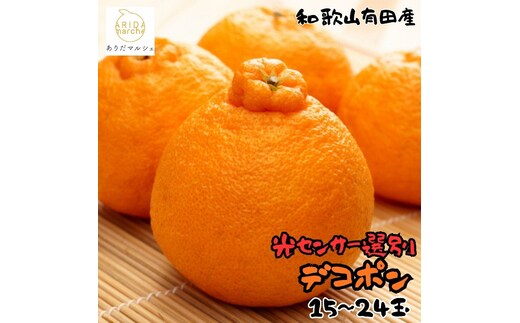 和歌山有田の濃厚デコポン 15～24玉 約5kg［先行予約］［MS78w］
