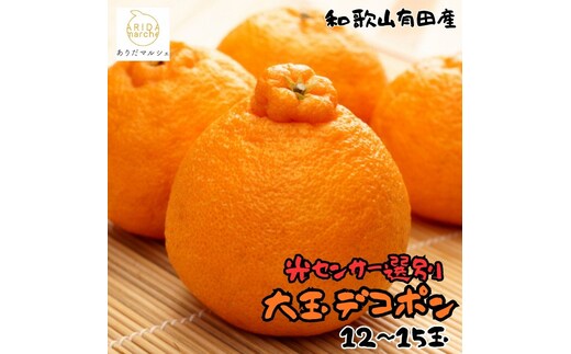 和歌山有田の濃厚大玉デコポン 12～15玉 約5kg［先行予約］［MS79w］