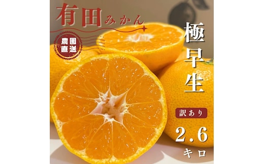 【ふるさと納税】有田みかん 極早生 2.6kg（箱込み3kg） 訳あり S～Lサイズおまかせ 【2026年11月発送】 柑橘 フルーツ みかん 産地直送 お取り寄せ 送料無料