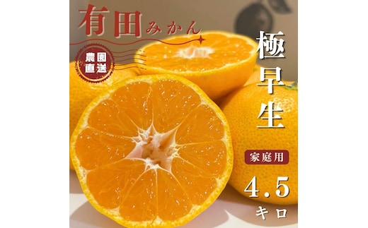 【ふるさと納税】有田みかん 極早生 4.5kg（箱込み5kg）家庭用 S～Lサイズ おまかせ【2026年11月発送】柑橘 フルーツ みかん 産地直送 お取り寄せ 送料無料