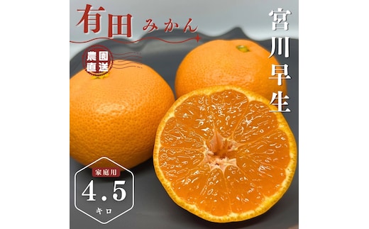 【ふるさと納税】【先行予約】有田みかん 早生 温州みかん 4.5kg（箱込み5kg）家庭用 S～Lサイズ おまかせ 柑橘 フルーツ みかん 産地直送 お取り寄せ 送料無料 温州ミカン