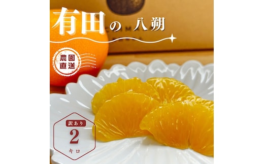 【ふるさと納税】【先行予約】 八朔 2kg 訳あり サイズ混合 柑橘 フルーツ はっさく 産地直送 お取り寄せ 送料無料