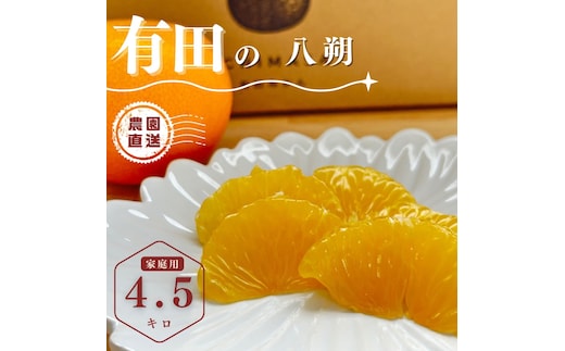 【ふるさと納税】【先行予約】 八朔 4.5kg（箱込み5kg） 家庭用 サイズ混合 柑橘 フルーツ はっさく 産地直送 お取り寄せ 送料無料