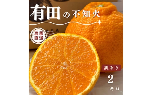 【ふるさと納税】【先行予約】 不知火 2kg 訳あり サイズ混合 柑橘 フルーツ 産地直送 お取り寄せ 送料無料