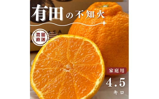 【ふるさと納税】【先行予約】 不知火 4.5kg（箱込み5kg） 家庭用 サイズ混合 柑橘 フルーツ 産地直送 お取り寄せ 送料無料
