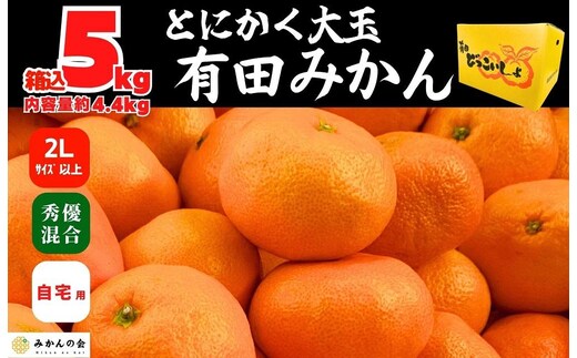 みかん 大玉 どっこいしょ 箱込 5kg ( 内容量約 4.4kg ) 2Lサイズ以上 秀品 優品 混合 有田みかん 和歌山県産 産地直送 家庭用［2026年11月中旬より順次出荷予定］［みかんの会］